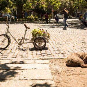 Colonia del Sacramento