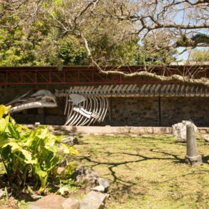 Museo Municipal Dr. Bautista Rebuffo