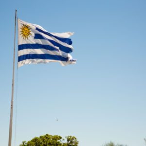 The flag of Uruguay