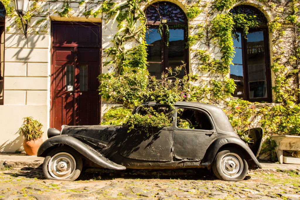 Colonia del Sacremento old car with flowers growing out of it