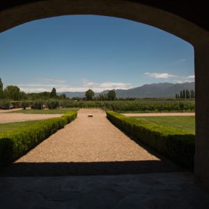 bodega vistalba