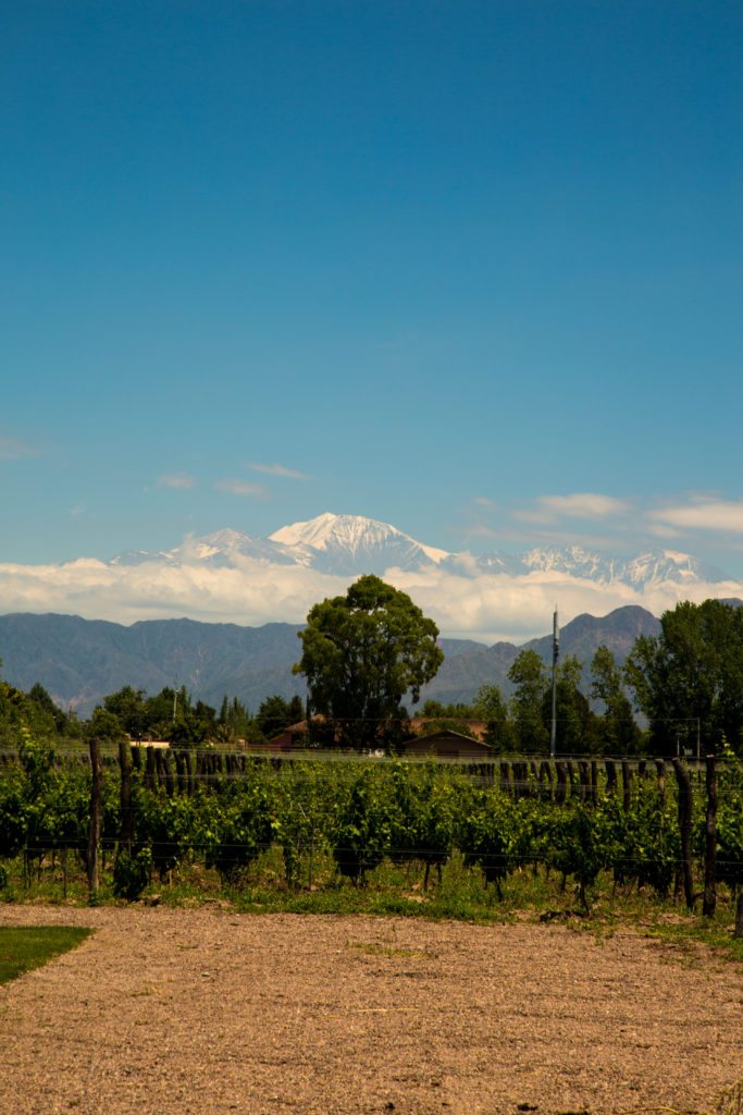 bodega vistalba