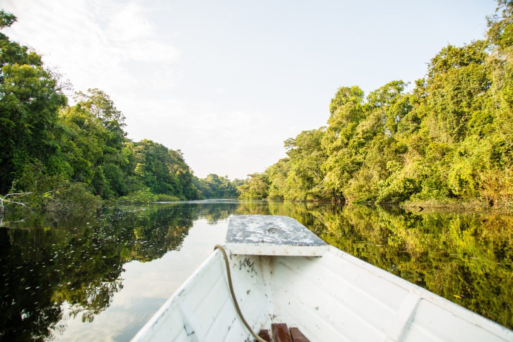 Heading to spot wildlife in the Amazon Rainforest!