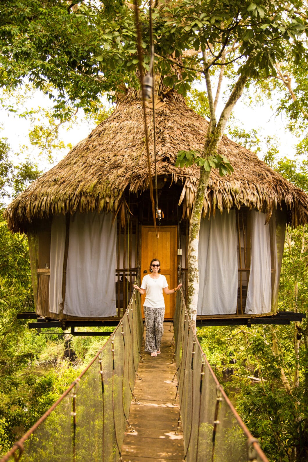 Treehouse Lodge