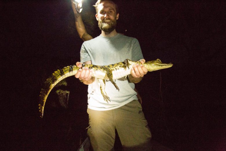 alligator in the amazon rainforest