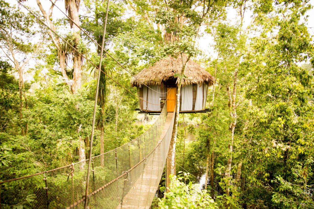 A tree house in the middle of the Amazon rainforest.