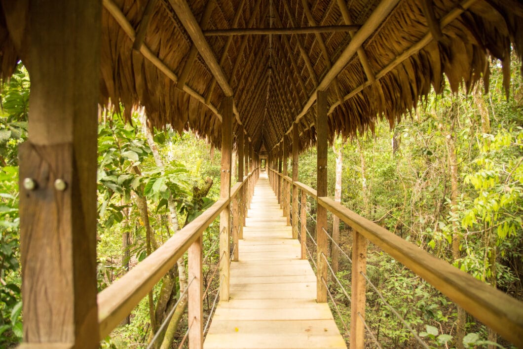 The walkways to the treehouses were cool!