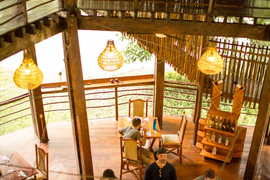 food at the treehouse lodge