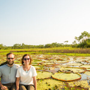 Giant lily pads in the Amazon