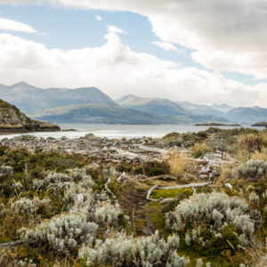 Bridges Island, Ushuaia