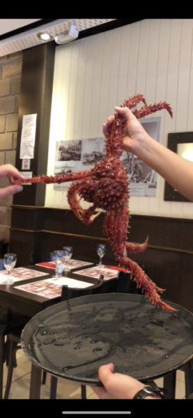 A person is holding a King crab on a plate at the Villaggio restaurant in Ushuaia, Argentina.