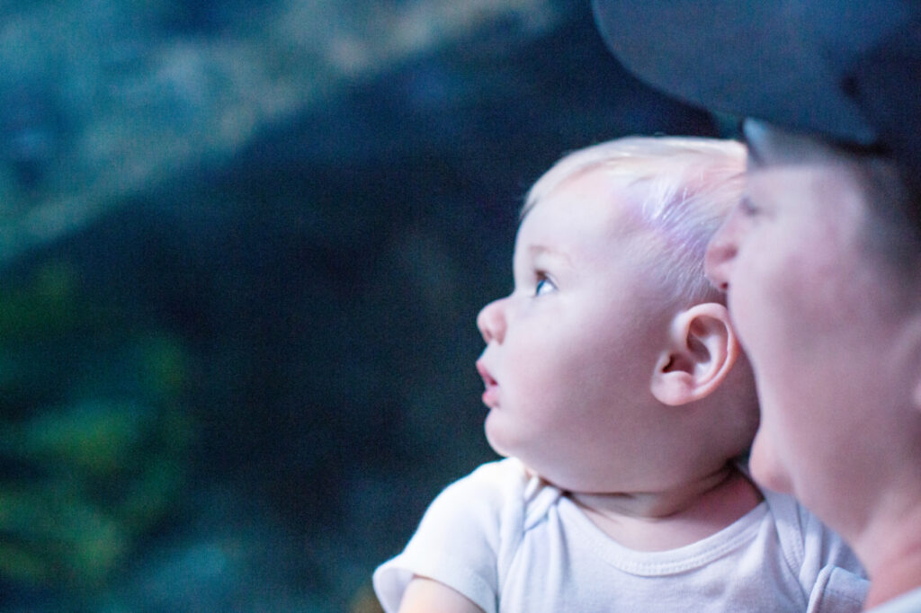 A little boy looks around the shark tunnel at Ripley's Aquarium of Myrtle Beach with a look of wonder on his face.