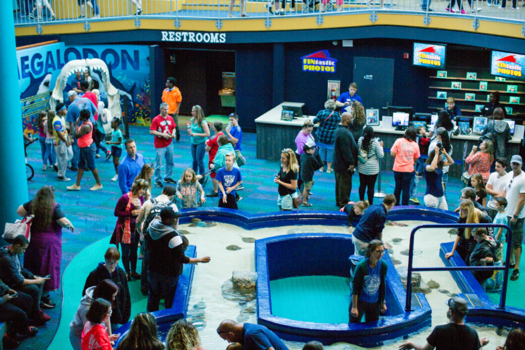 A picture of the crowds at Ripley's Aquarium in Myrtle Beach. Groups of adults and children gather around the horseshoe crab exhibit, and walk around to other experiences.