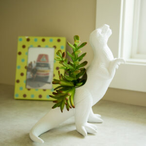 T Rex Planter