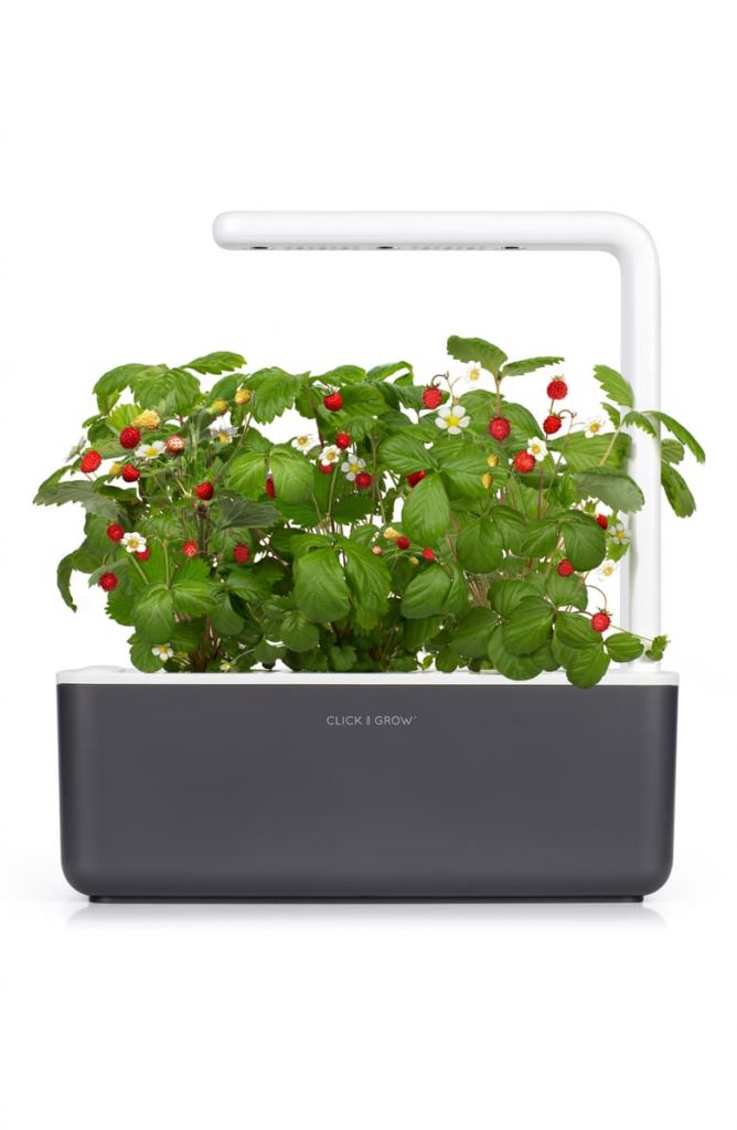 Smart Garden 3 Self Watering Indoor Garden CLICK & GROW