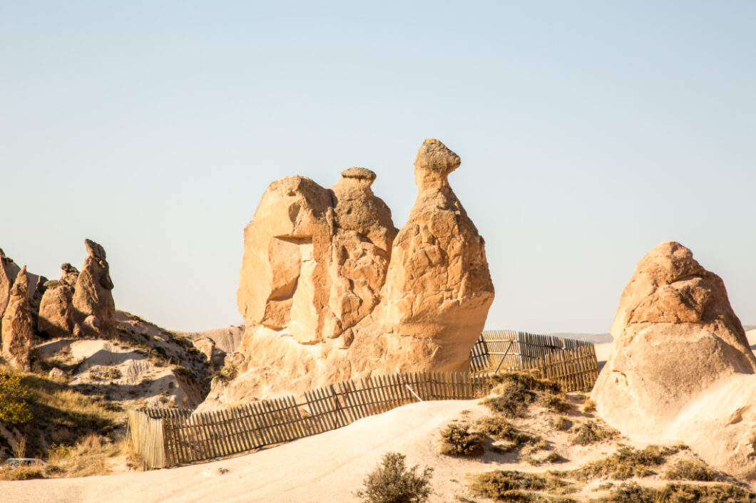 the camel in Imaginary Valley, a stone formation that resembles a camel