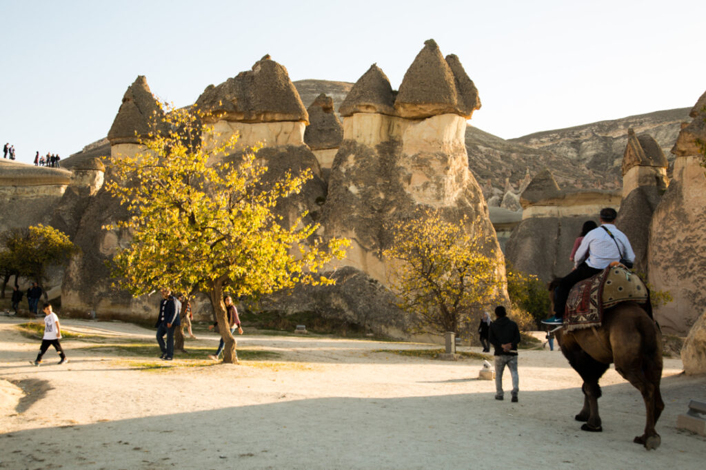 A view of Pasabag in Cappadocia with a camel standing in front.