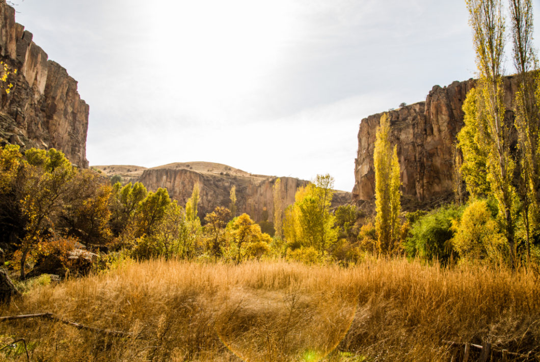 A view of rocky hills and golden grass on a bright sunny day