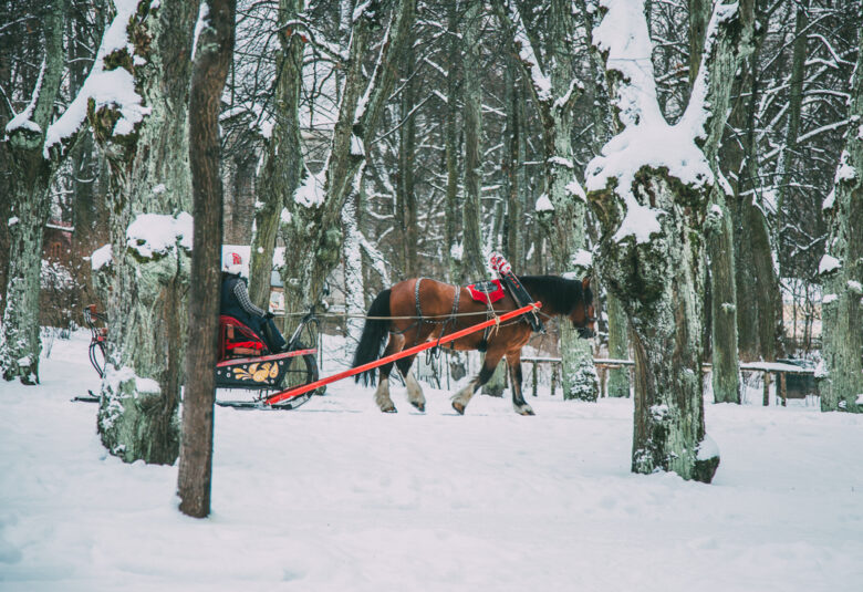 Pavlovsk Palace