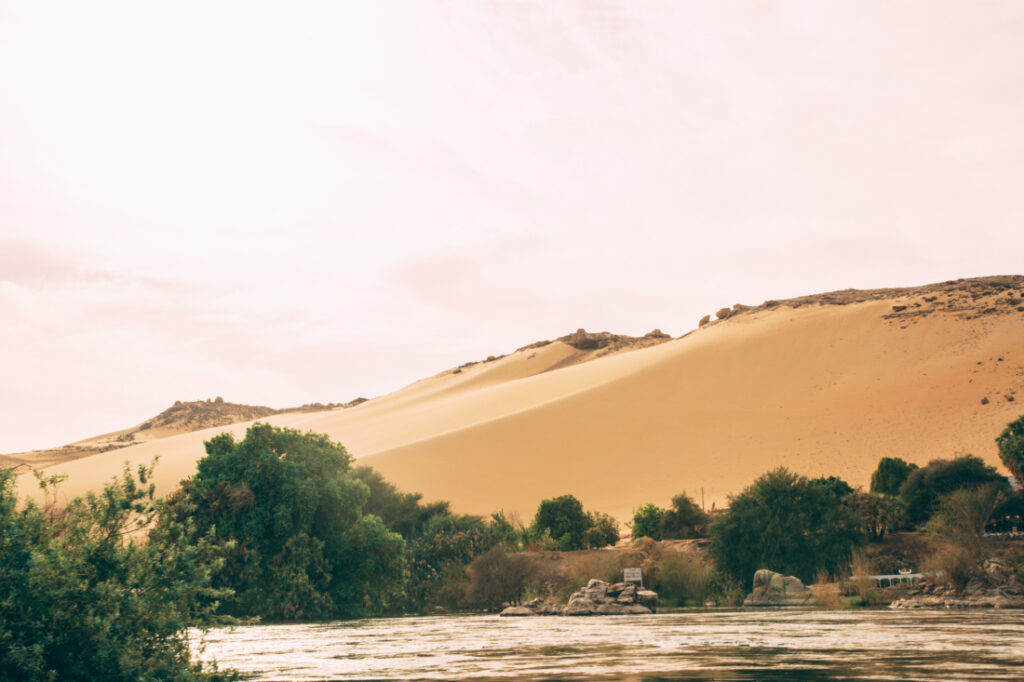 The landscape along the Nile River in Aswan. The edge of the river is lined with trees and bushes. Tall sandy hills rise in the background.