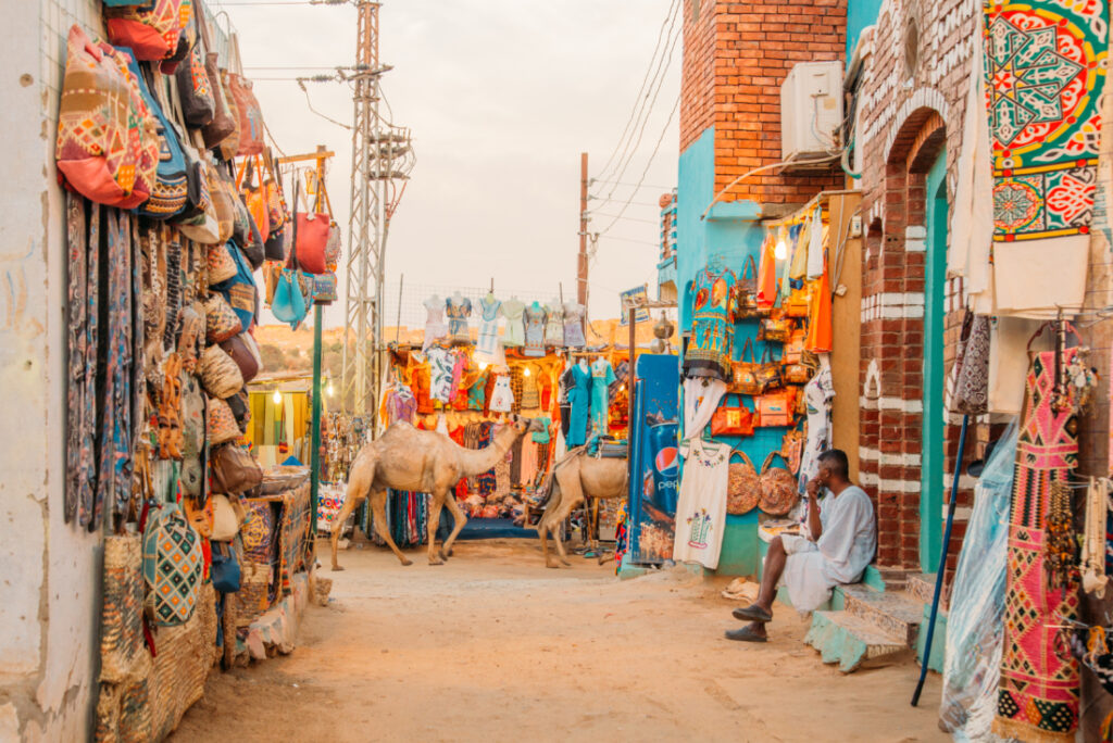 A bustling street in the Nubian Village, with camels walking along a dirt road