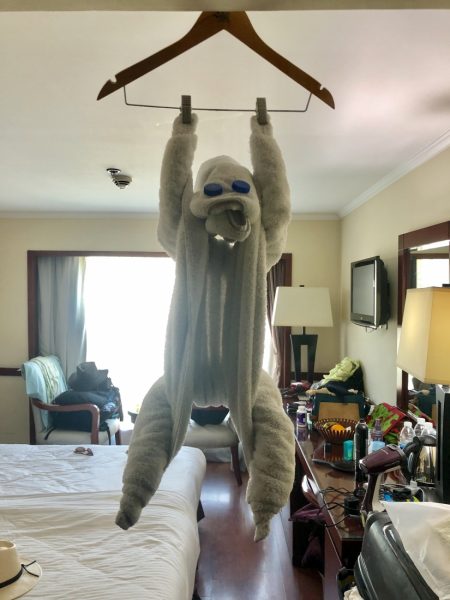 A hanging monkey made of fresh towels by the staff on the Amwaj Living Stone Nile Cruise. 