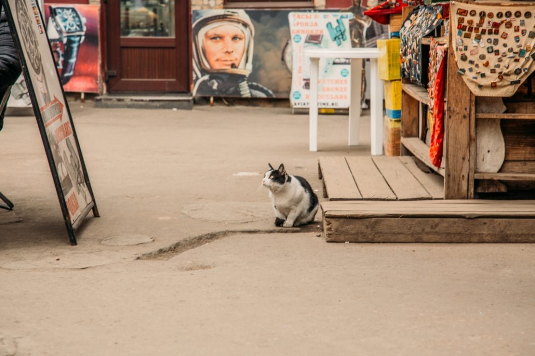 Izmailovsky Market