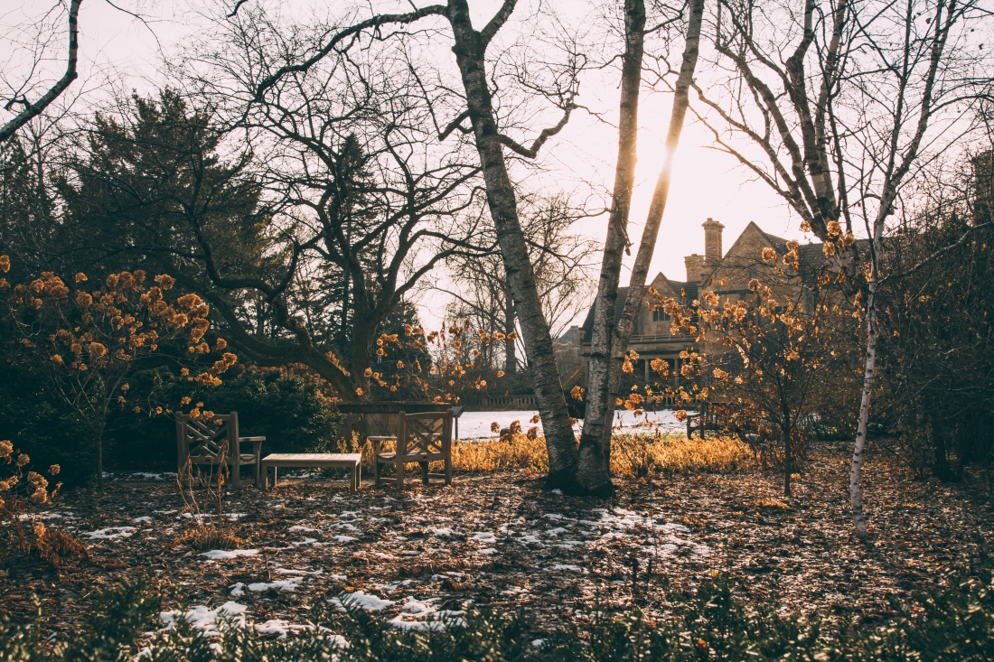 The Paine Art Center's exterior gardens in the wintertime on a sunny day, with snow scattered on the ground, and trees with bare branches.