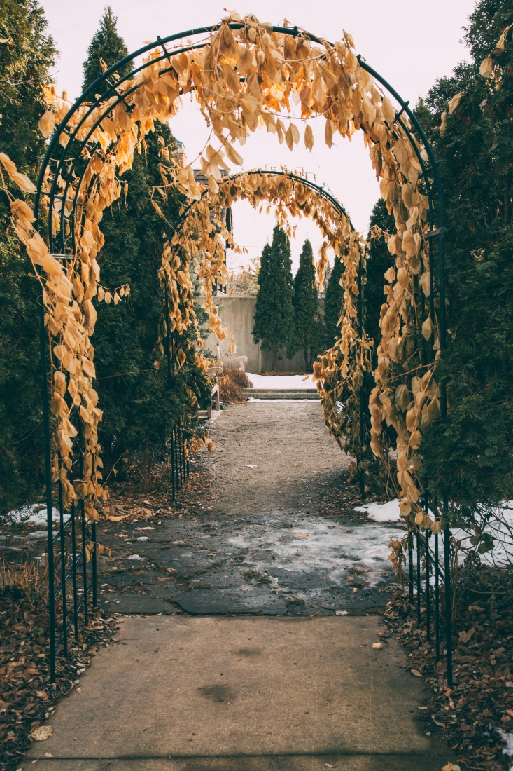 Archways draped in vines of leaves, leading into the entrance to the Paine Art Center's exterior gardens.