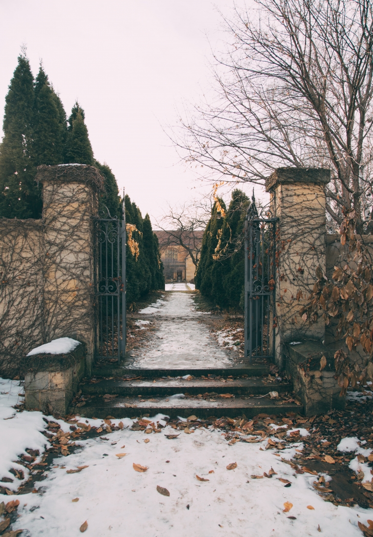 A snowy, icy outdoor walkway leads down a path lined with trees towards the Paine Art Center.