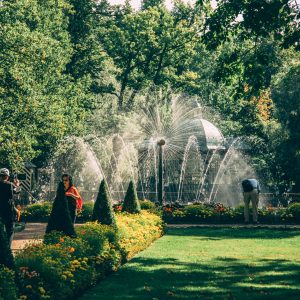 Peterhof Palace in Russia