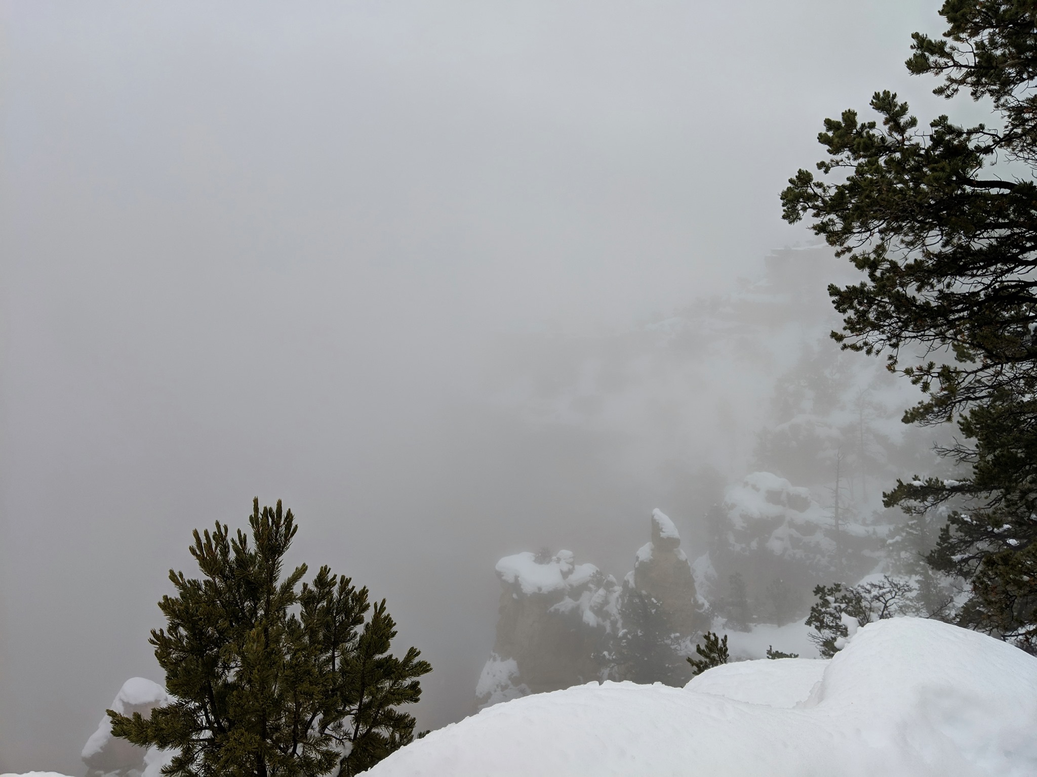 The Grand Canyon in the winter, covered with snow and obscured by a thick fog.