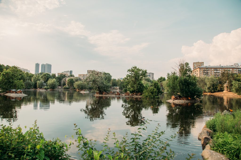 Inside the Moscow Zoo.