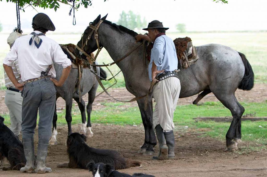 2 horses and men are standing outside in gaucho attire while 3 dogs lay on the ground at Estancia El Ombu