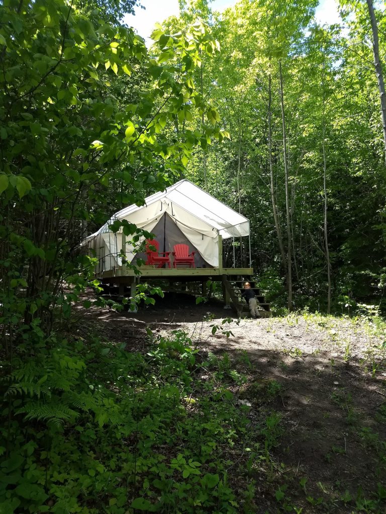 Twisting Twig Gardens and Orchard Wall Tent