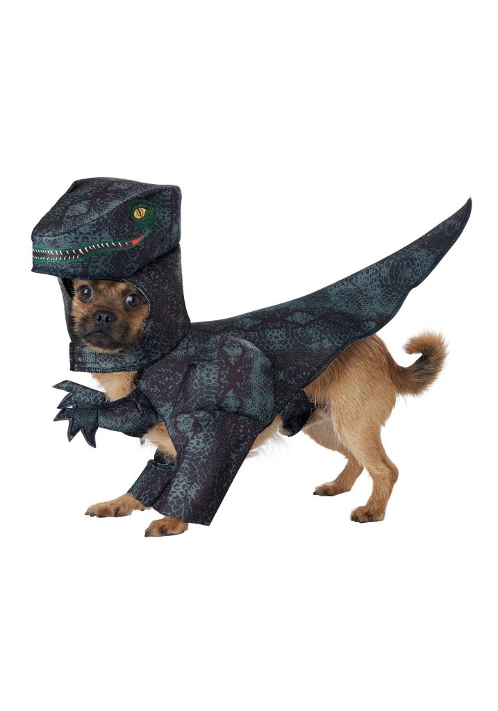 dog-pupasaurus-rex-costume