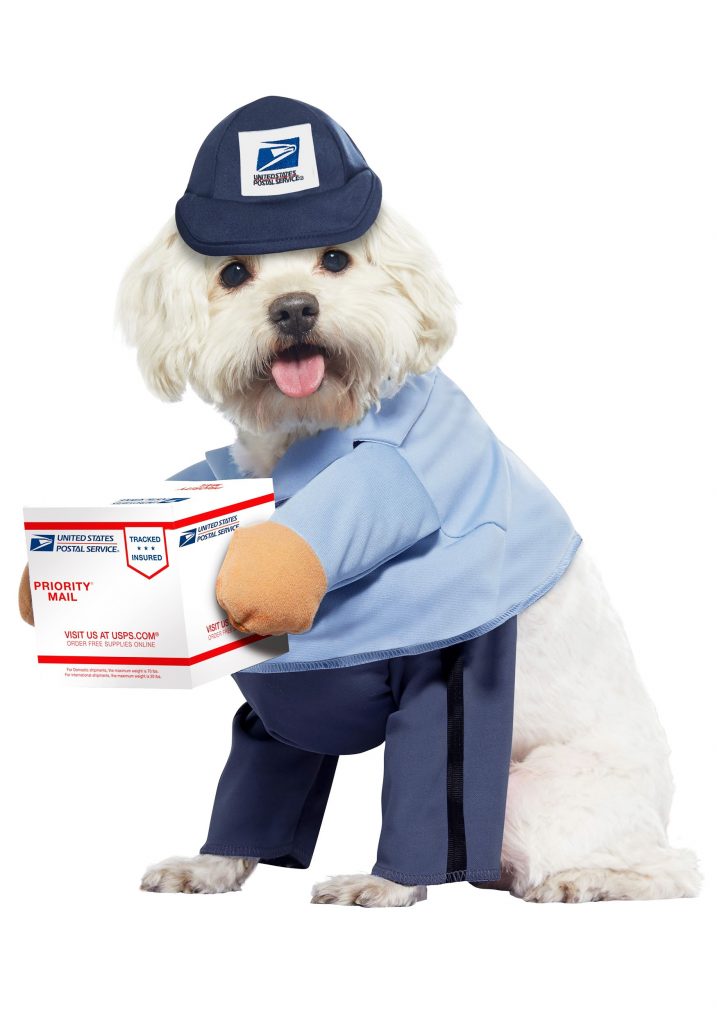 usps-dog-mail-carrier-costume