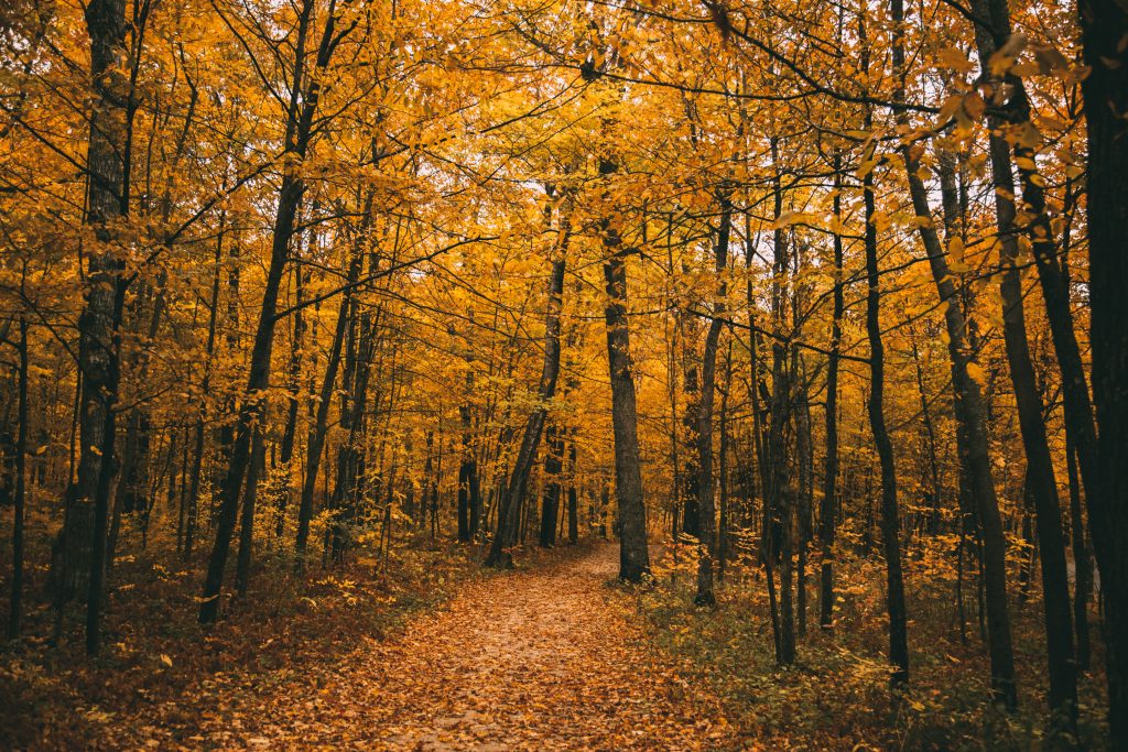 Peninsula State Park