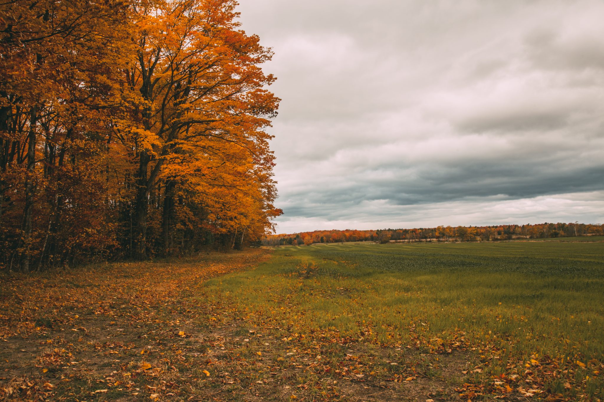 Fall colors in Door County Wisconsin