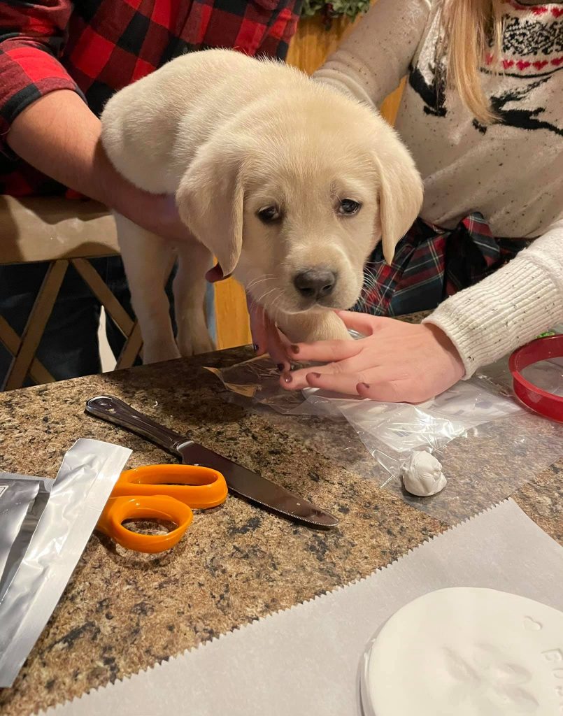 Making Christmas ornaments with the puppies