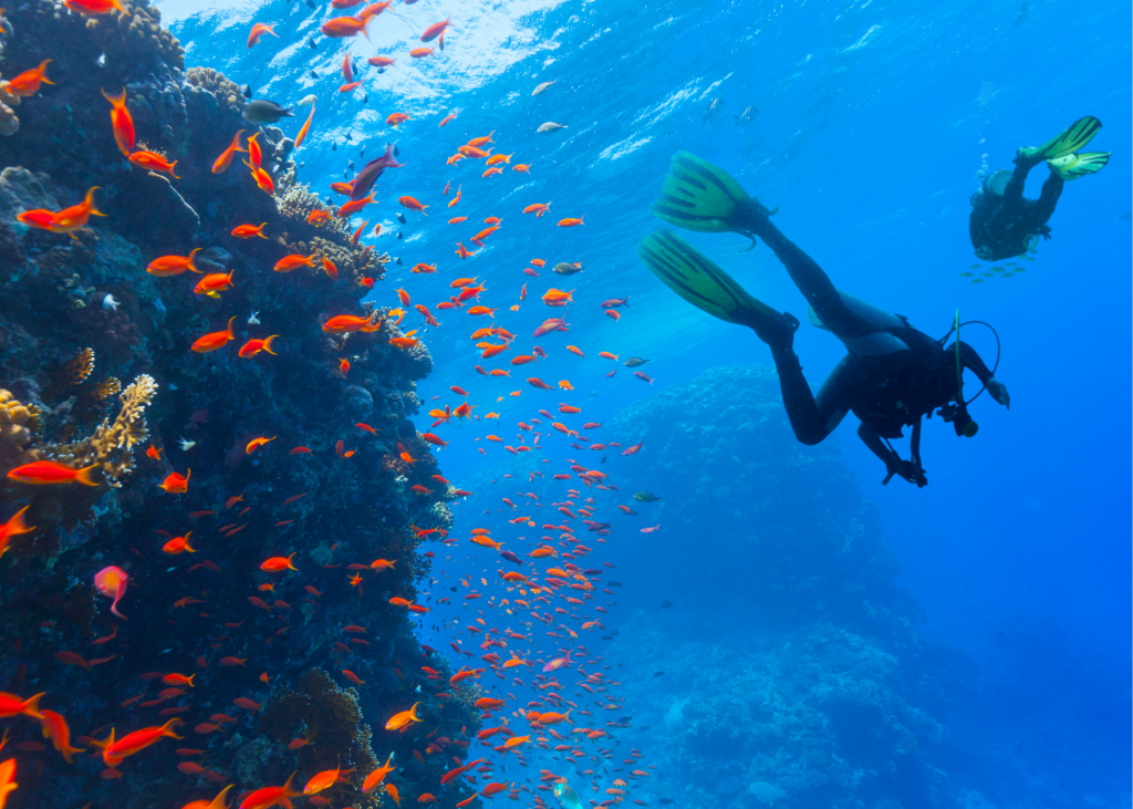 Scuba diving in Turks and Caicos is one of the best things to do