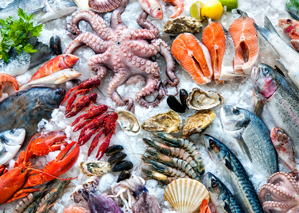 A variety of fish and seafood on ice.