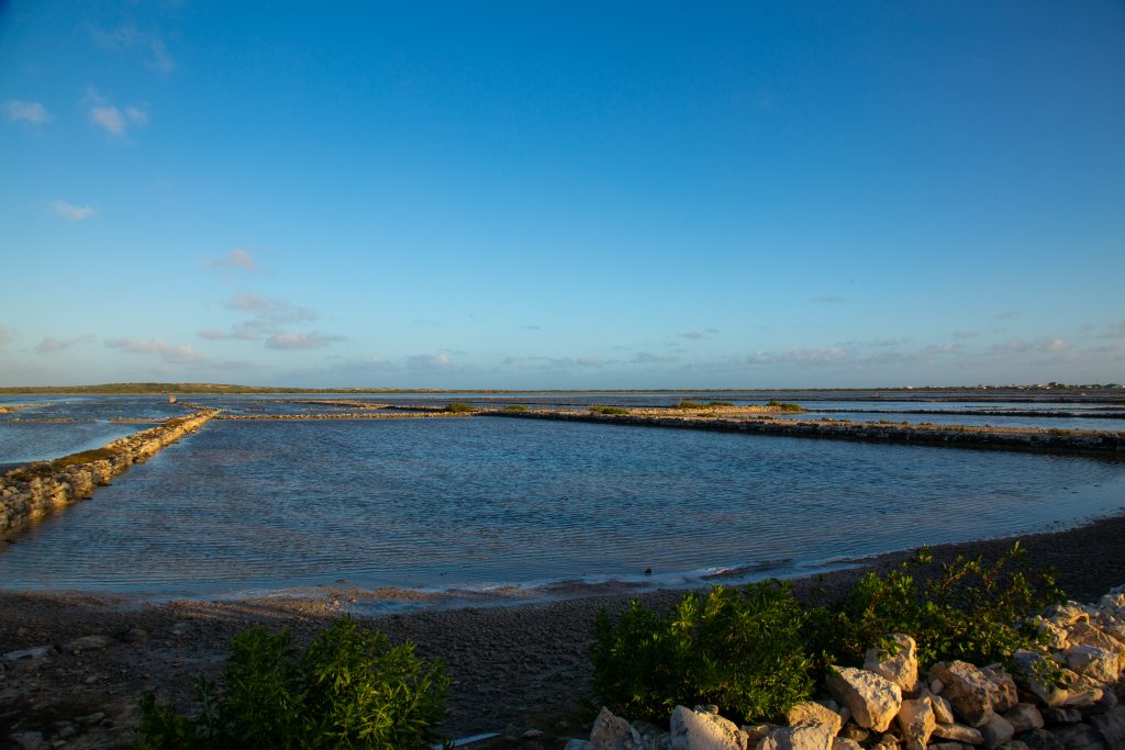 The remnants of the Salt Salinas in Salt Cay.