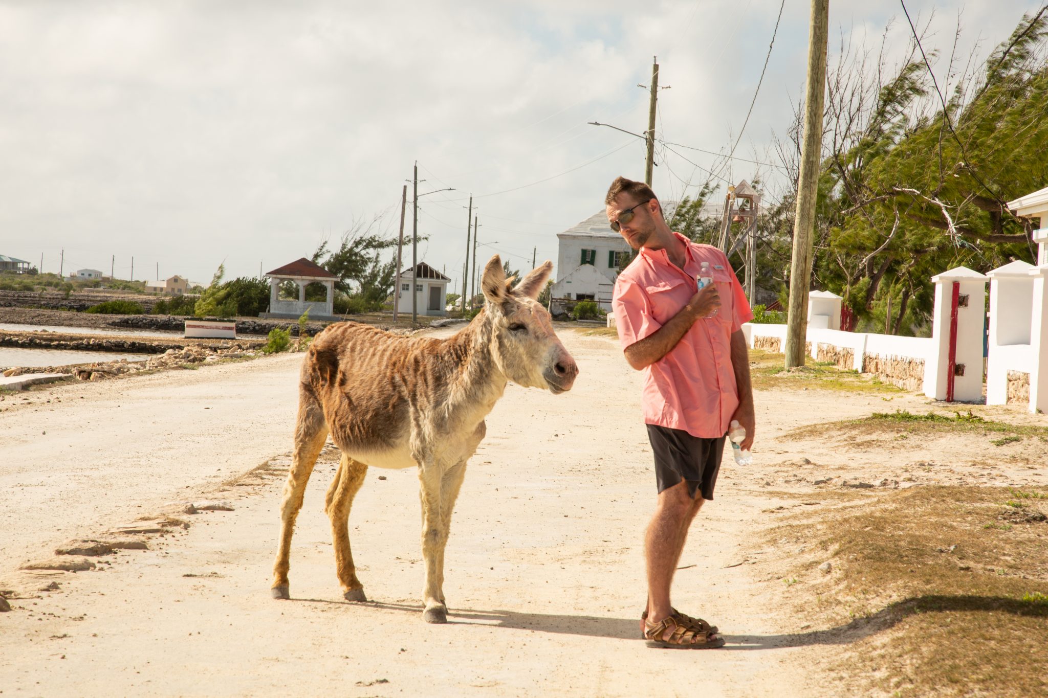 Zac walking down a dusty street wearing a pink shirt leaning over looking at a donkey who is following him