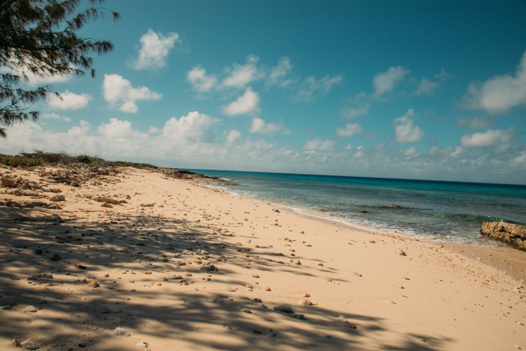 Salt Cay photos