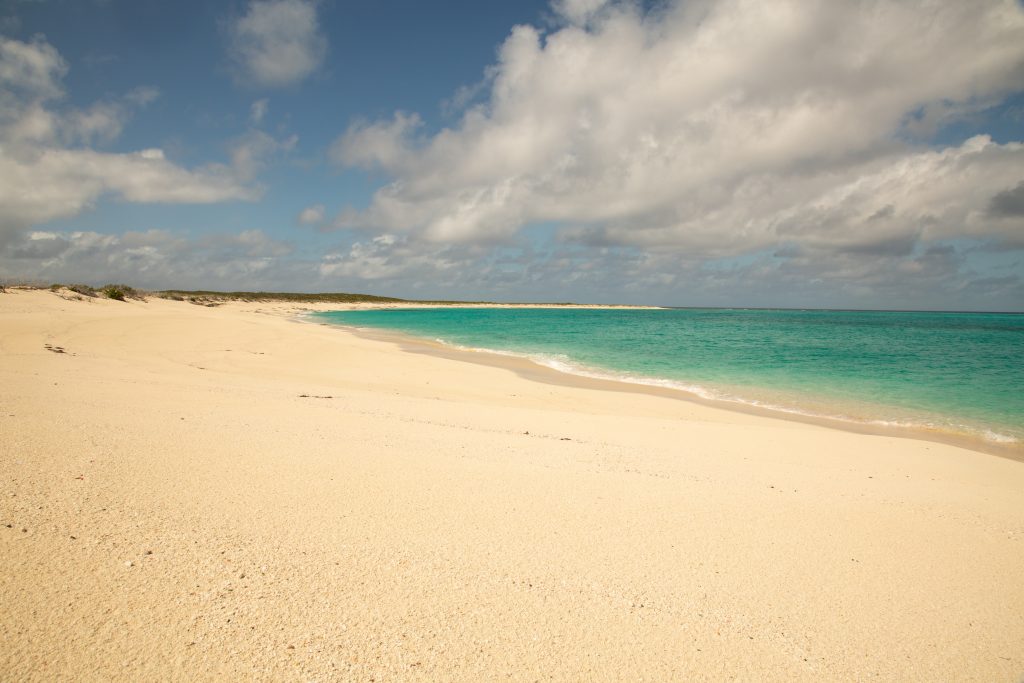 Salt Cay Photos