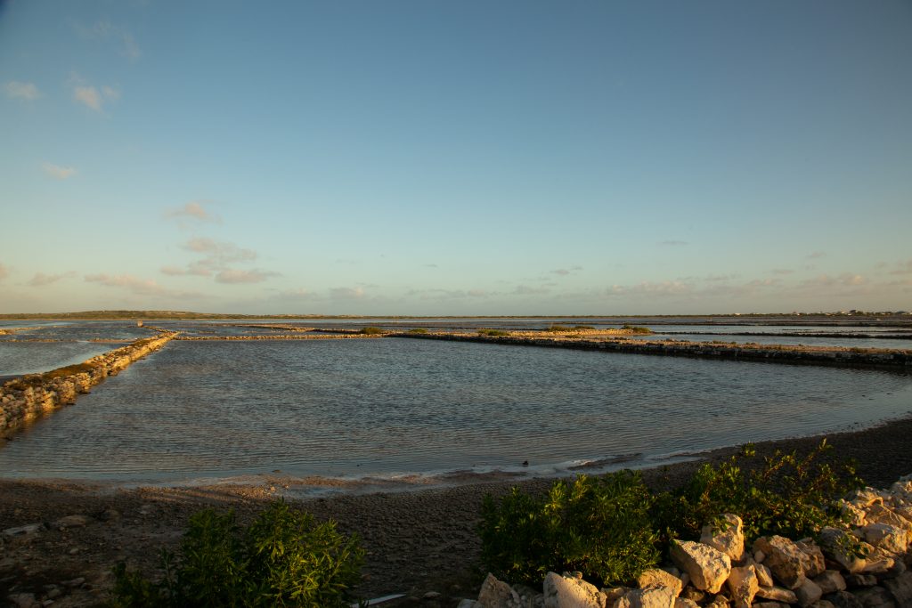 The Salinas on Salt Cay and blue sky.