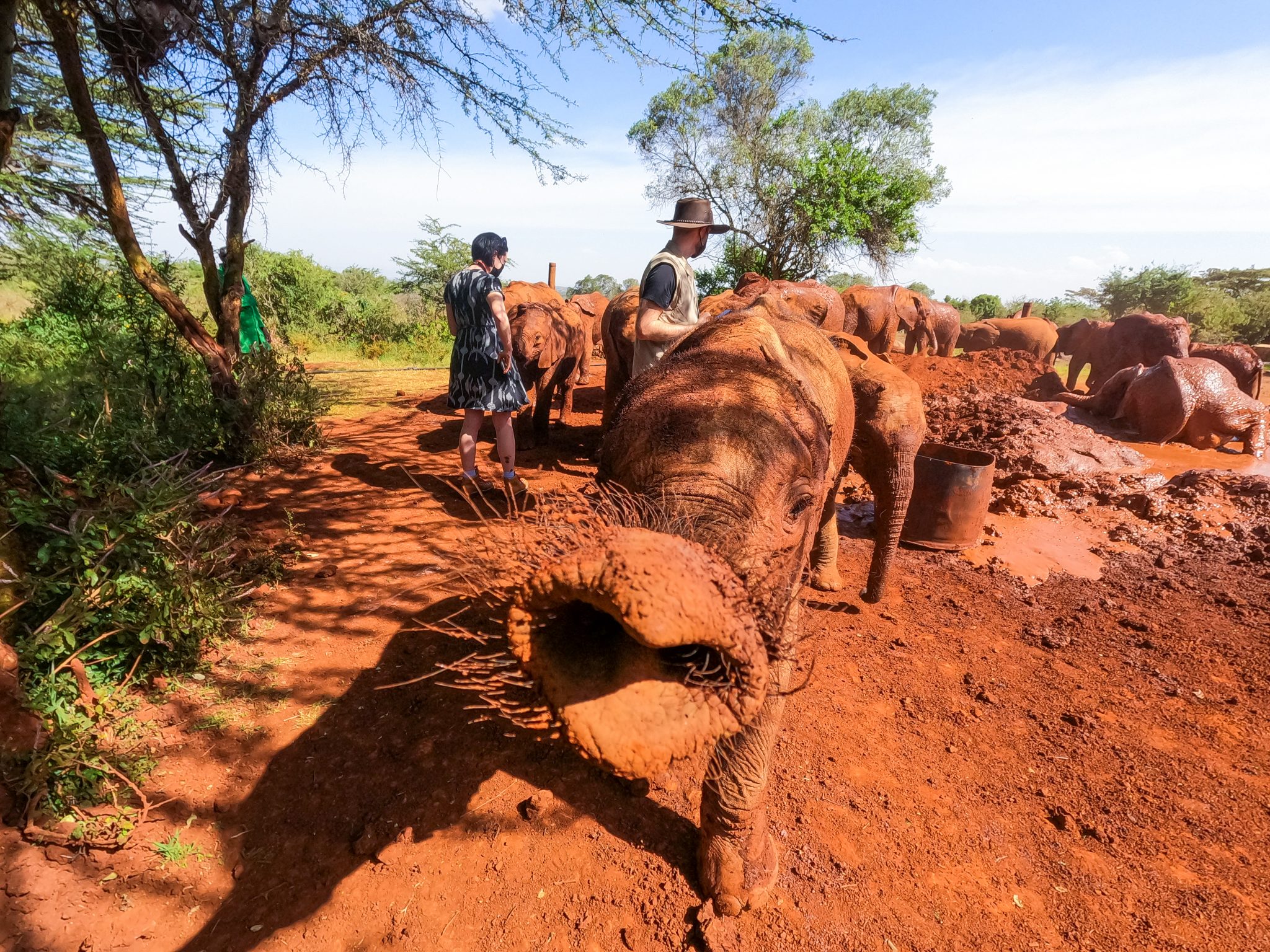 Our private visit to the Sheldrick Wildlife Trust in Nairobi Kenya