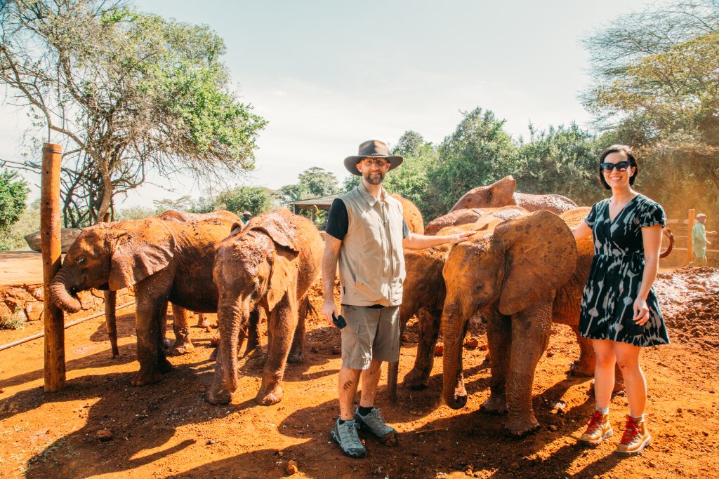 Two people standing in front of a group of elephants.