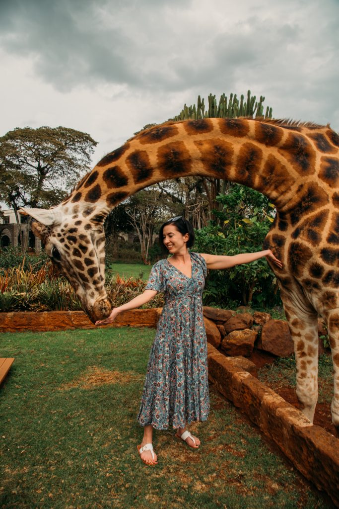 A woman feeds a giraffe in a large grassy courtyard. She's wearing a green floral dress.